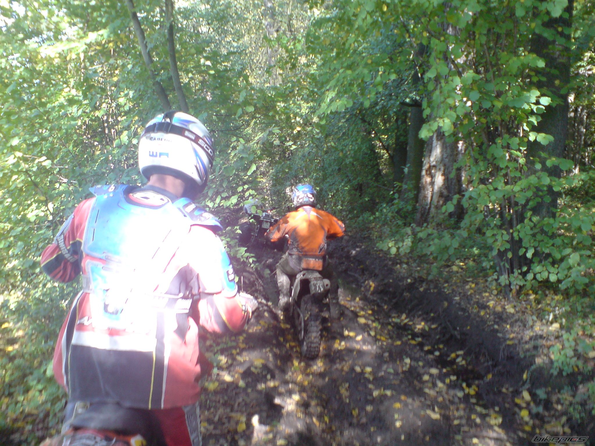 Photo 1438913