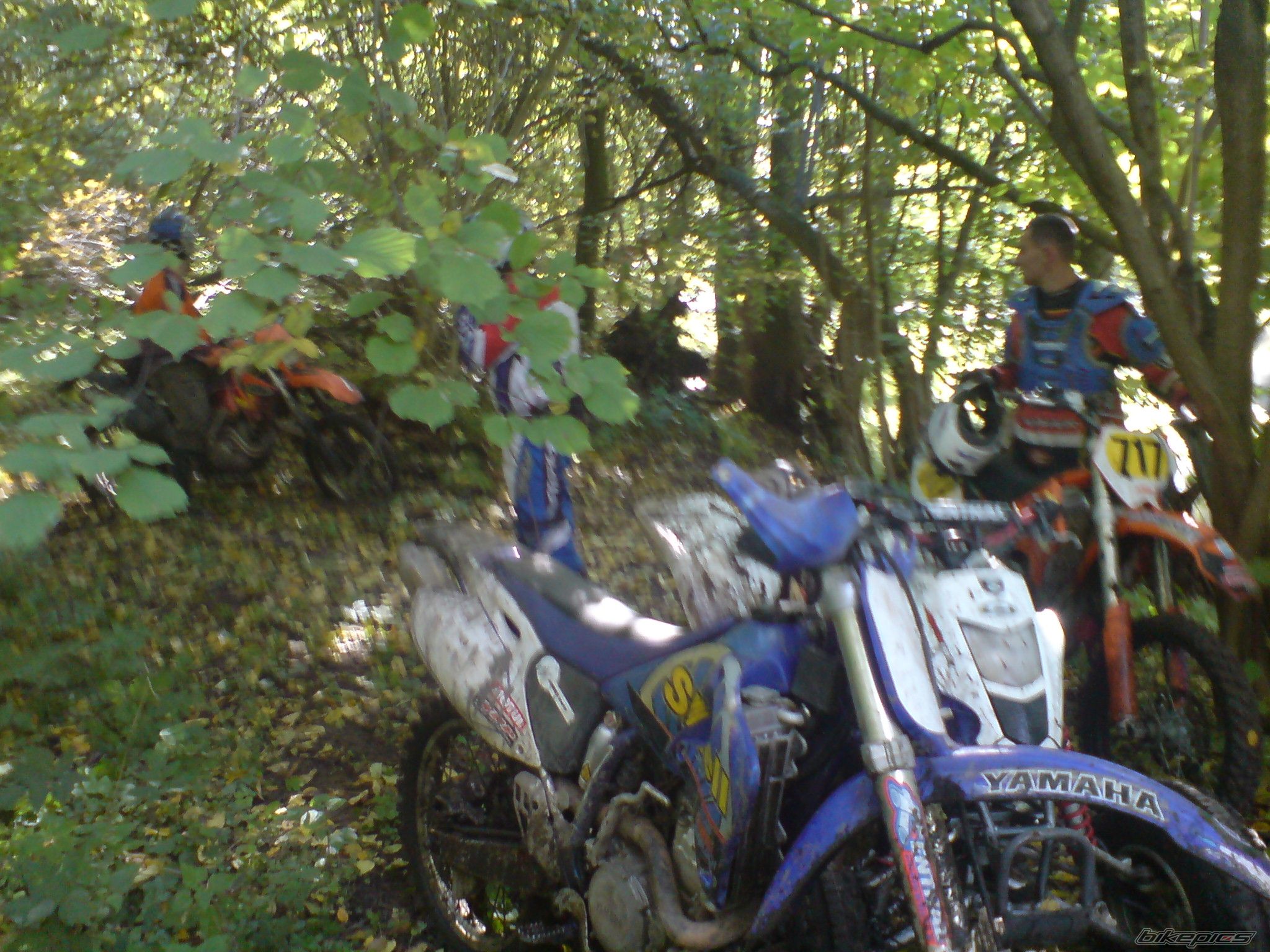 Photo 1438914
