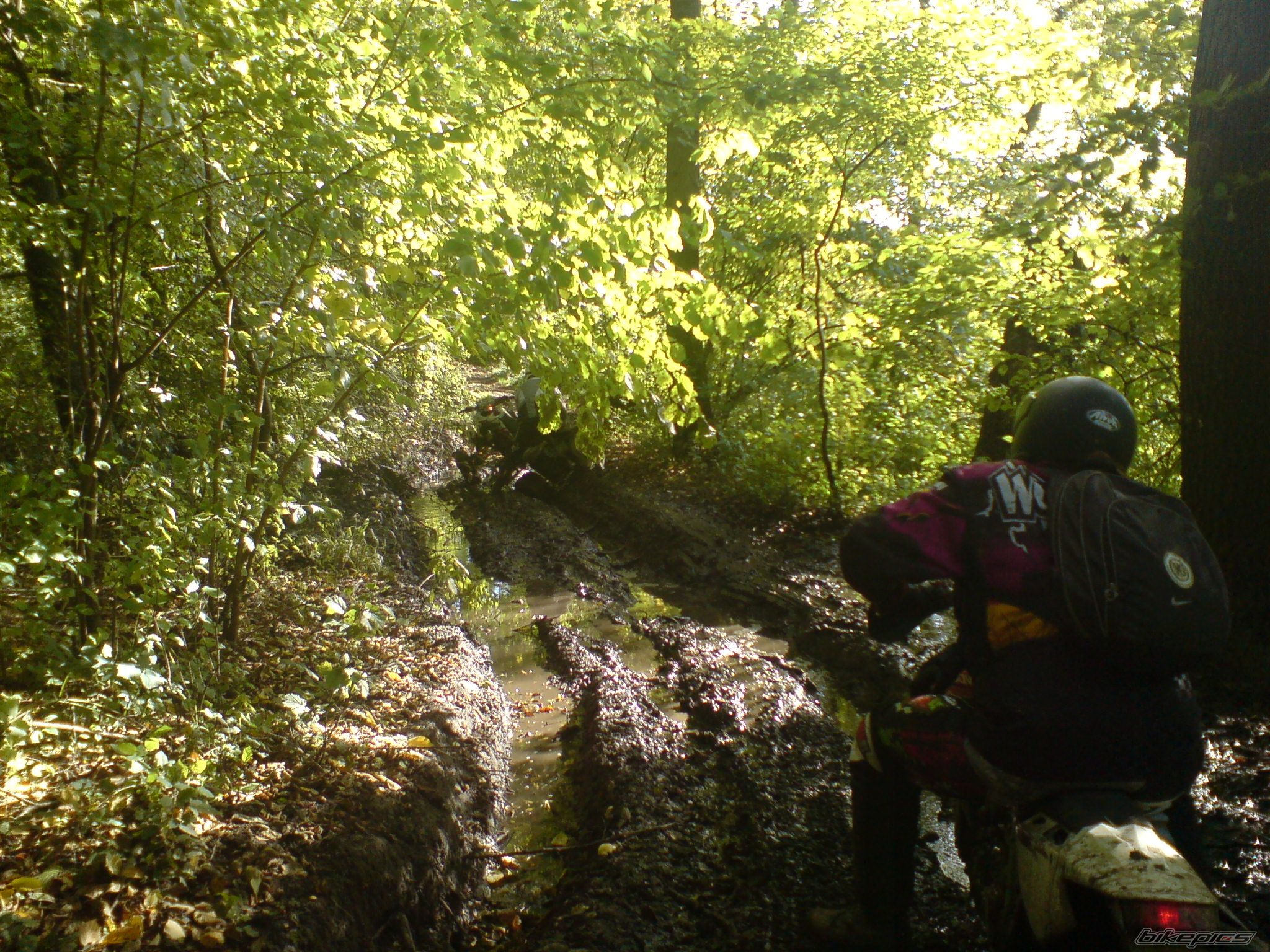 Photo 1438919