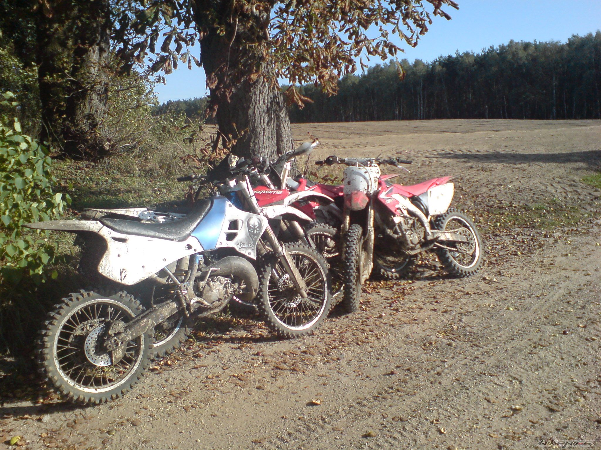 Photo 1438922