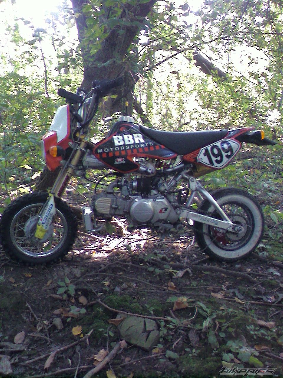 Photo 1439048