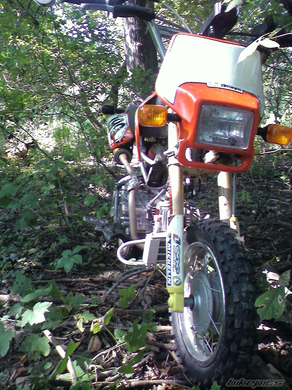 Photo 1439068