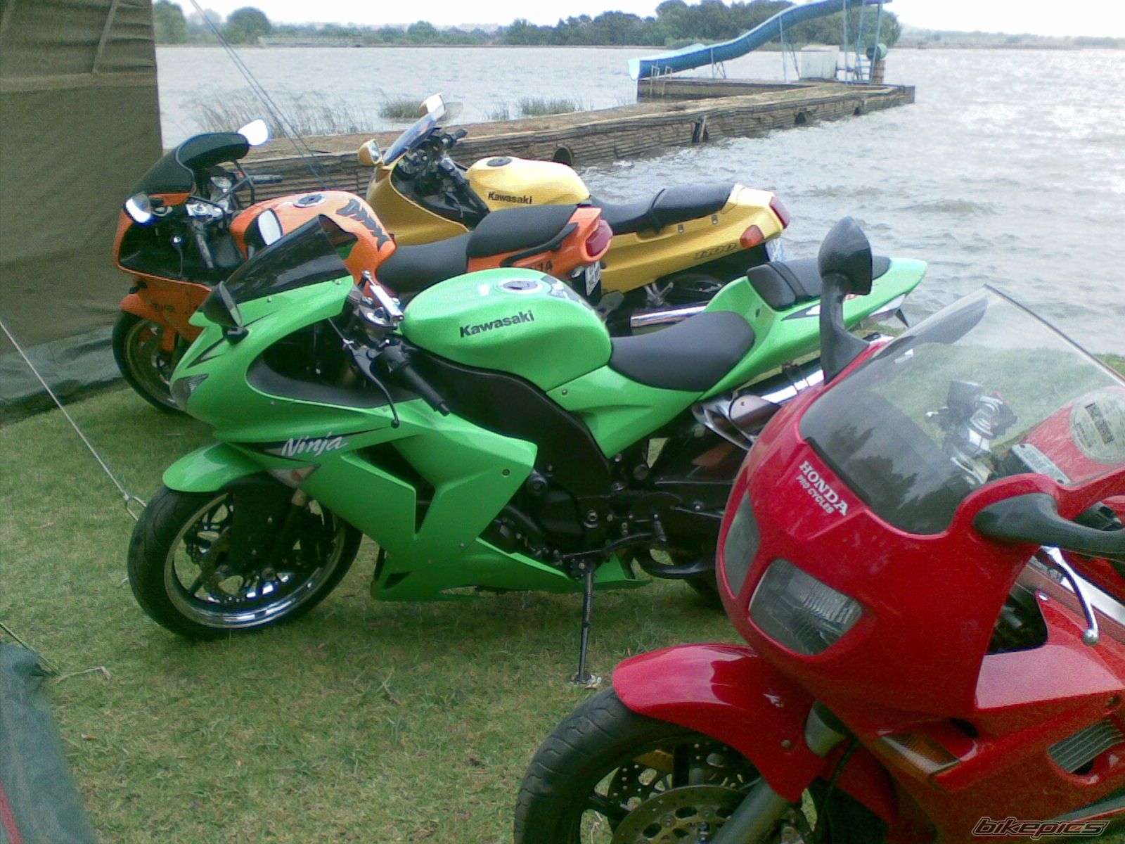 Photo 1439077