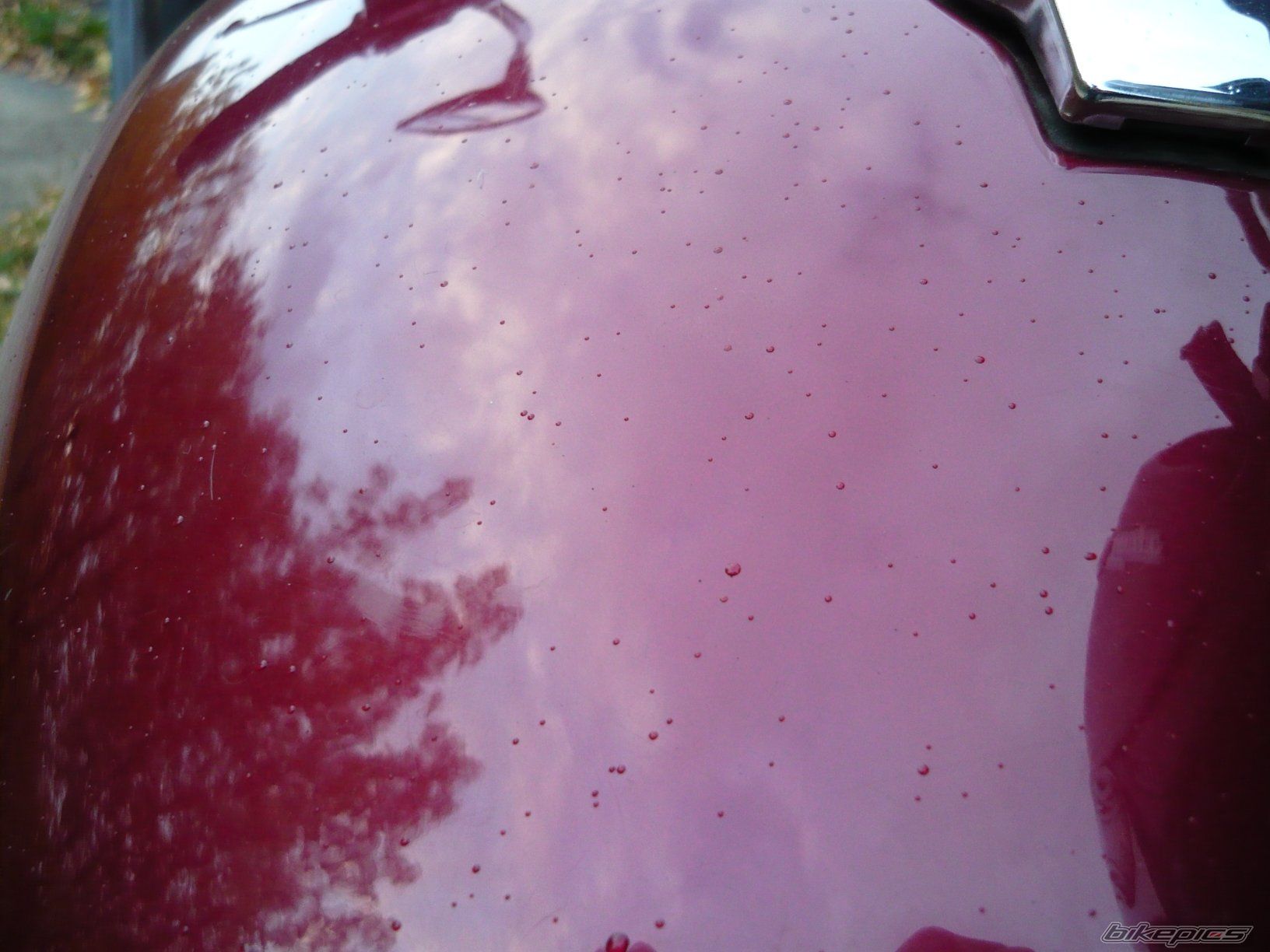 Photo 1439100
