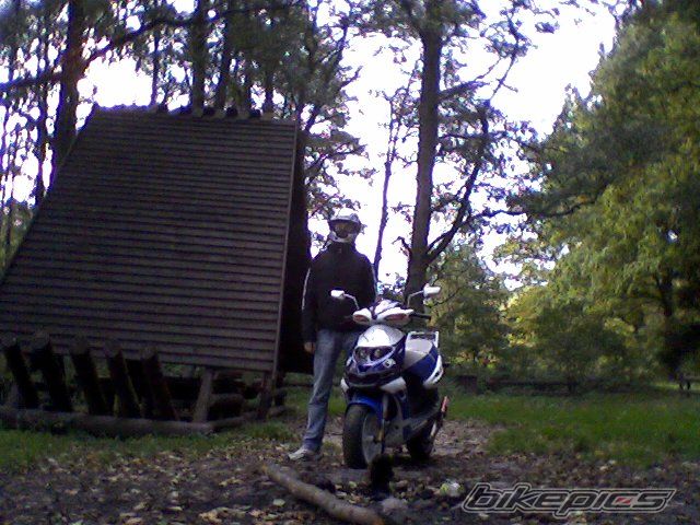 Photo 1439182
