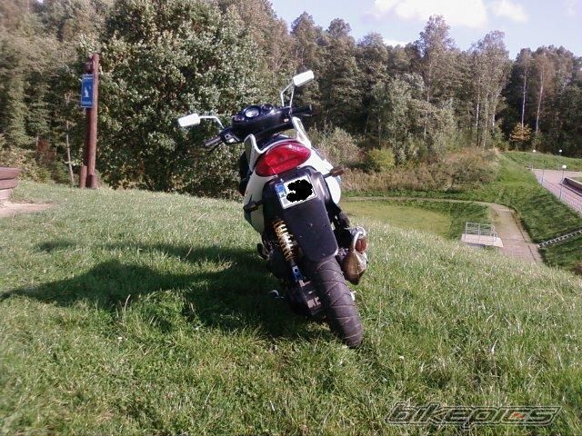 Photo 1439190