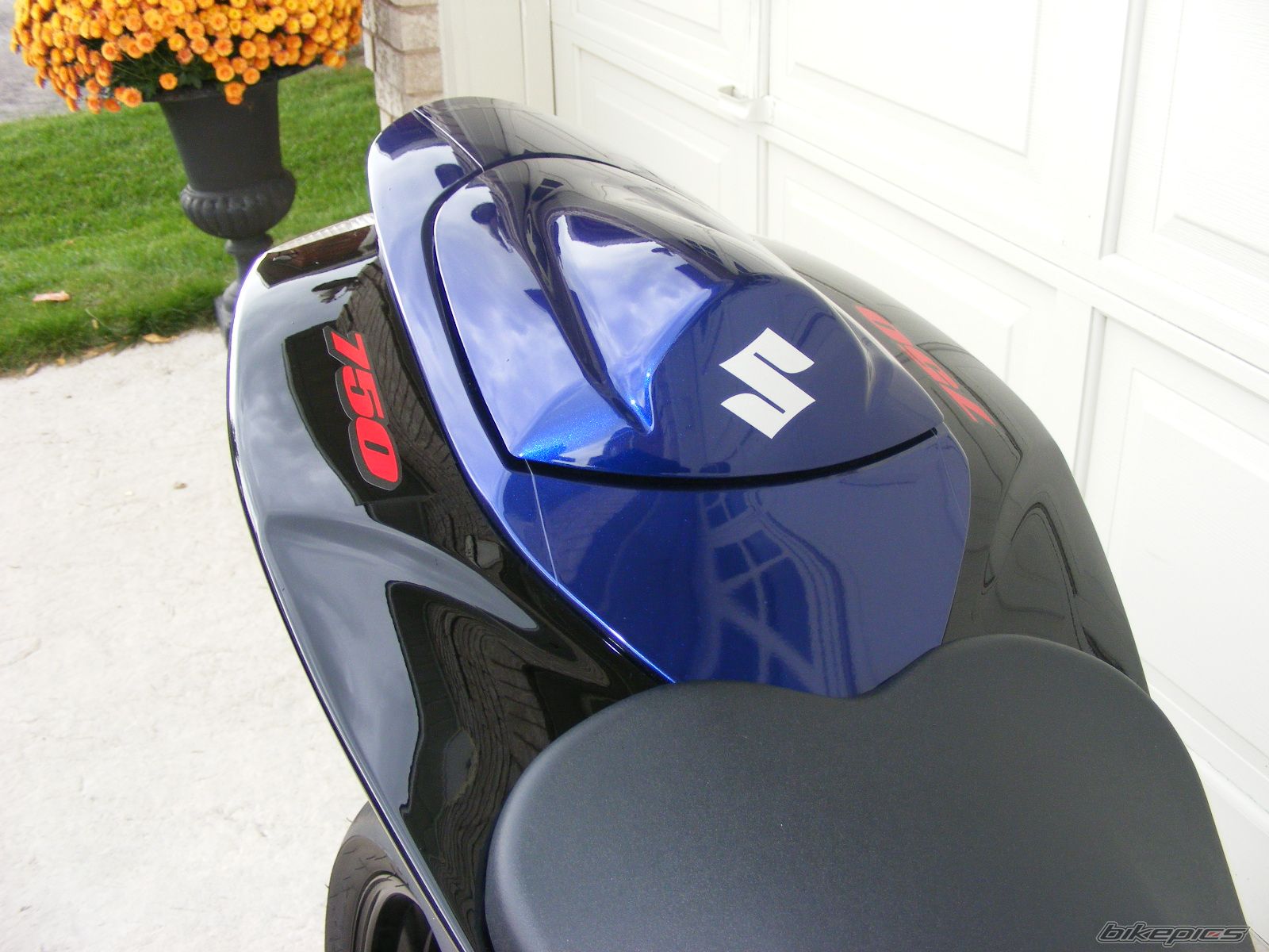 Photo 1439199