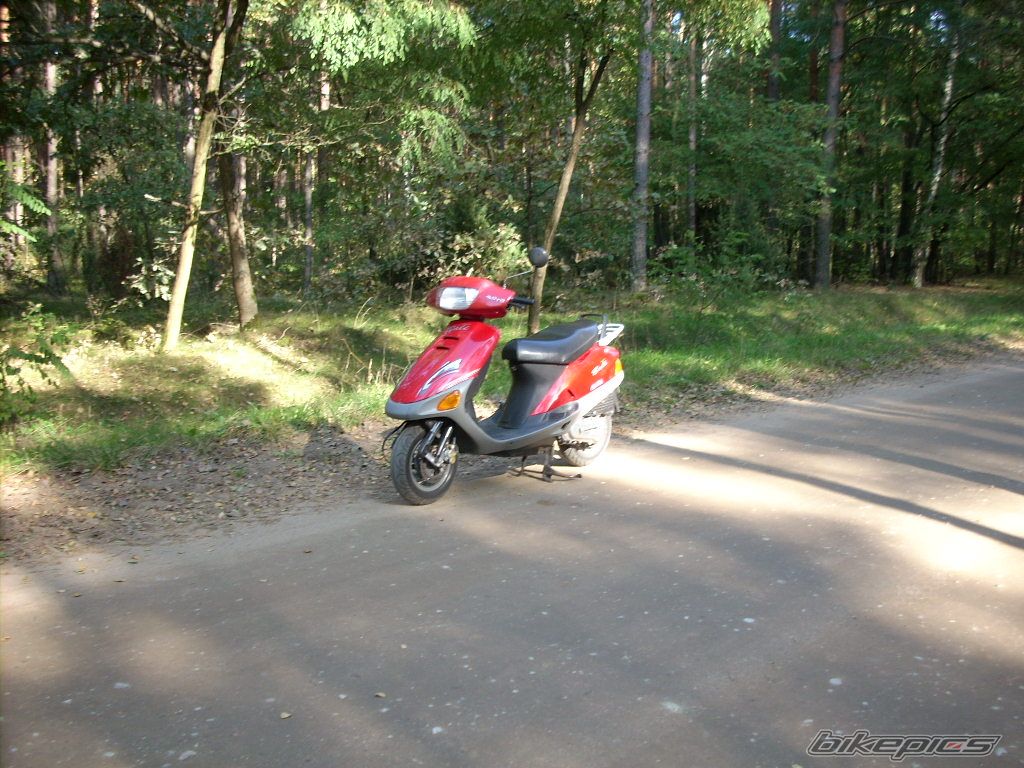 Photo 1439215