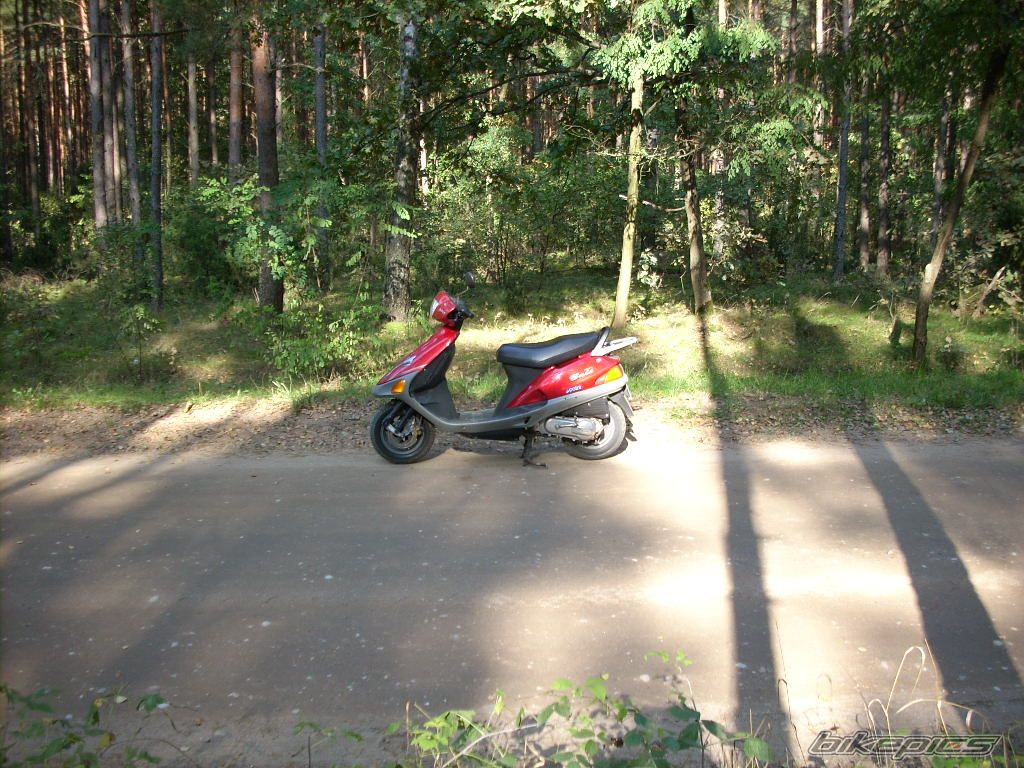 Photo 1439218