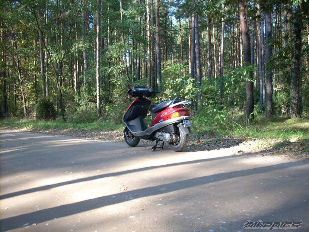 Photo 1439220