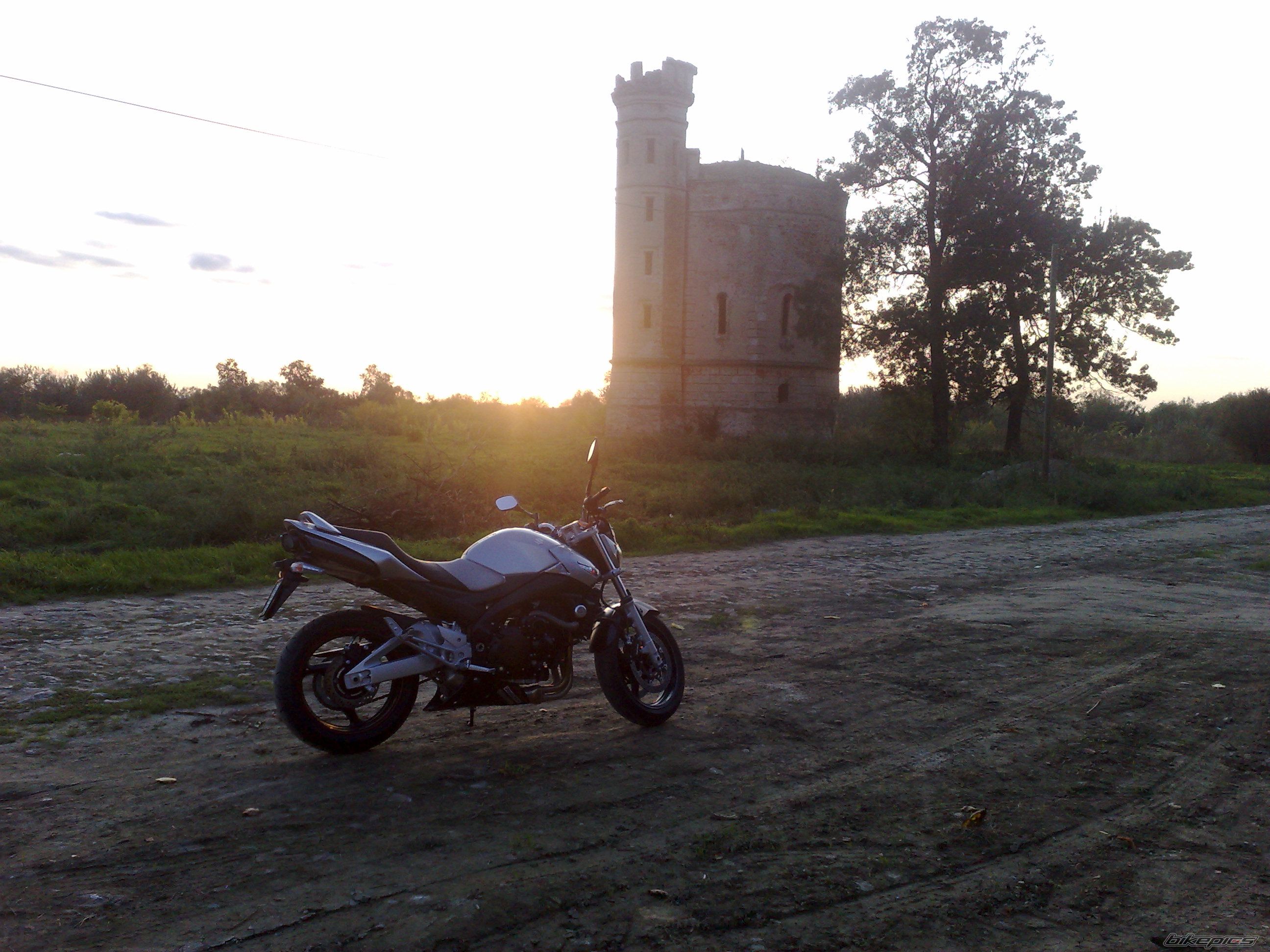 Photo 1439247