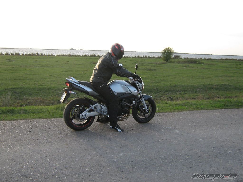 Photo 1439257