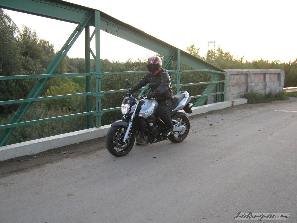 Photo 1439271