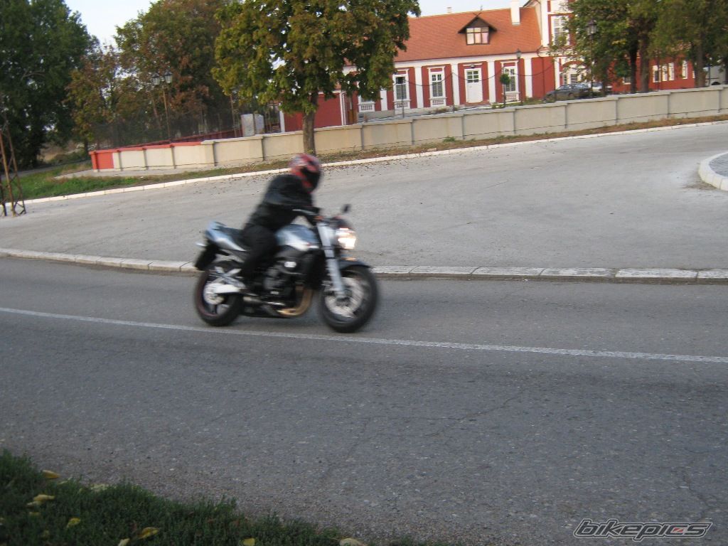 Photo 1439288