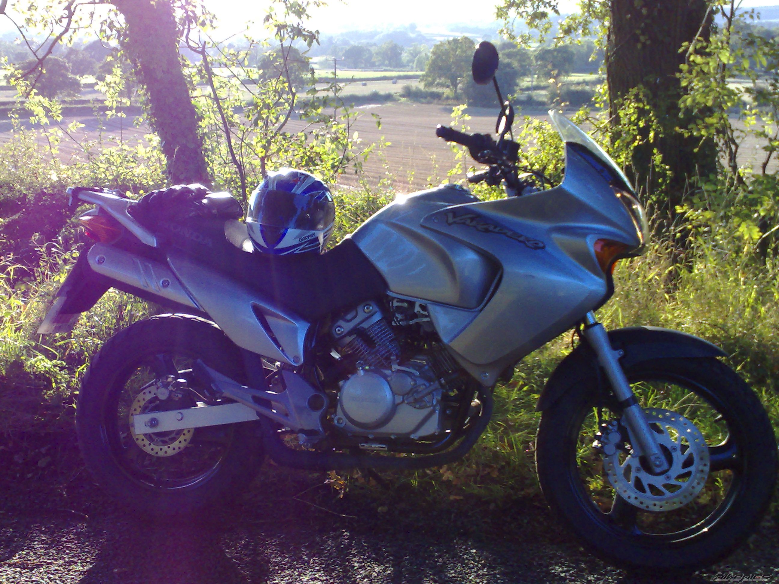 Photo 1439323