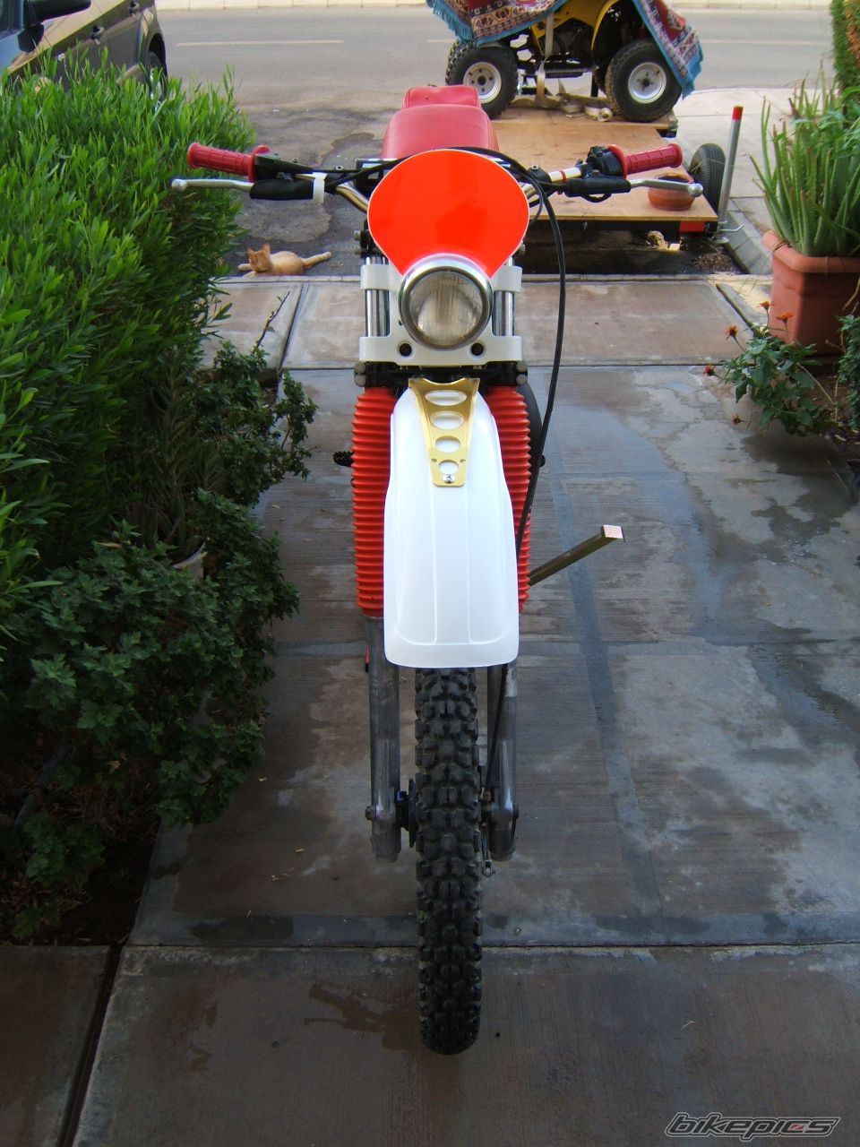 Photo 1439354