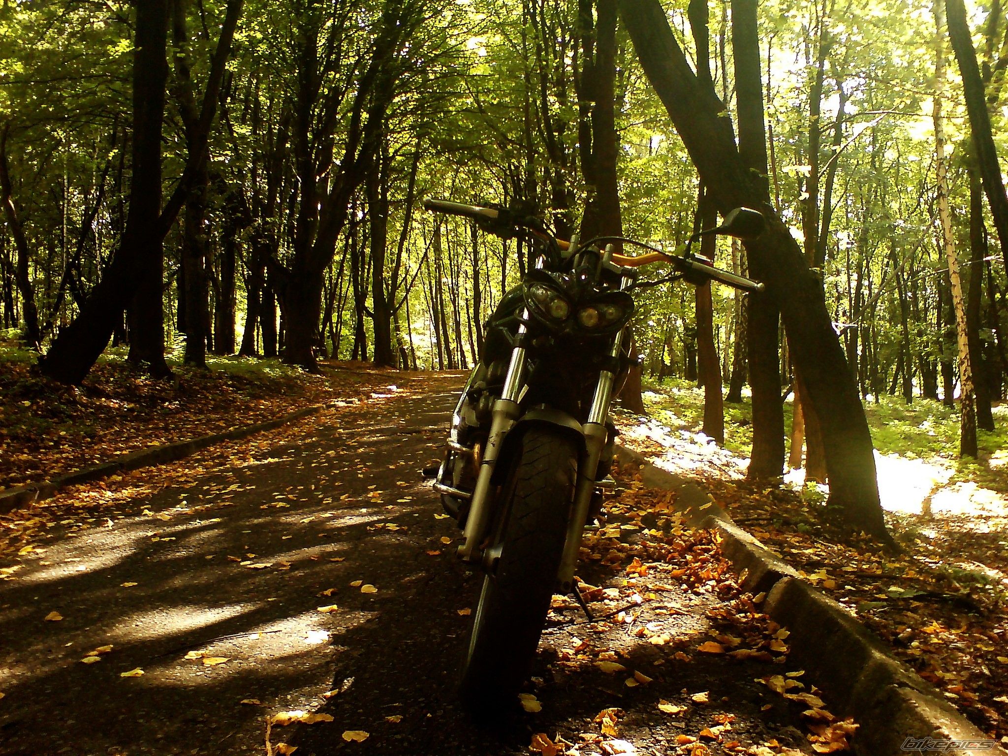 Bike Photo 1439403