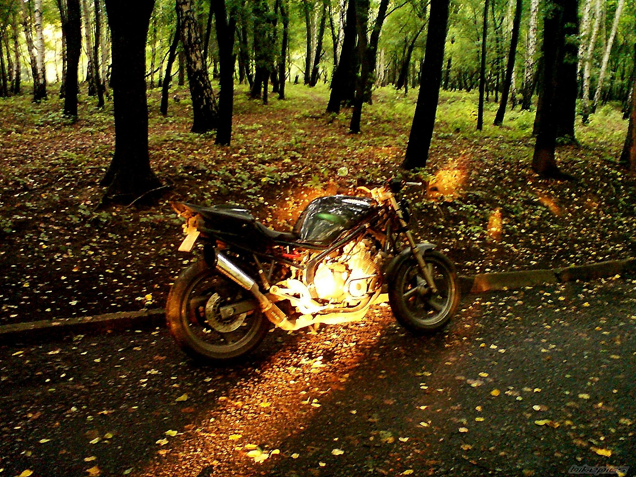 Bike Photo 1439406
