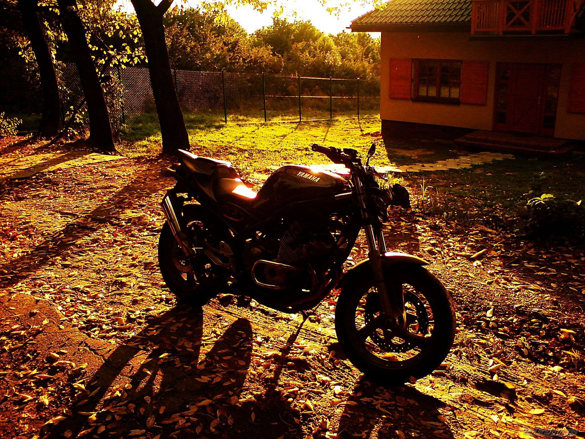 Photo 1439409