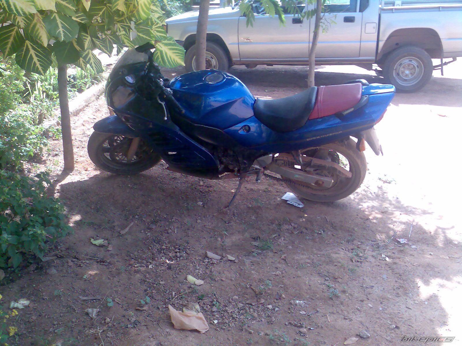 Photo 1439411
