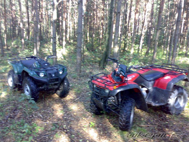 Photo 1439426