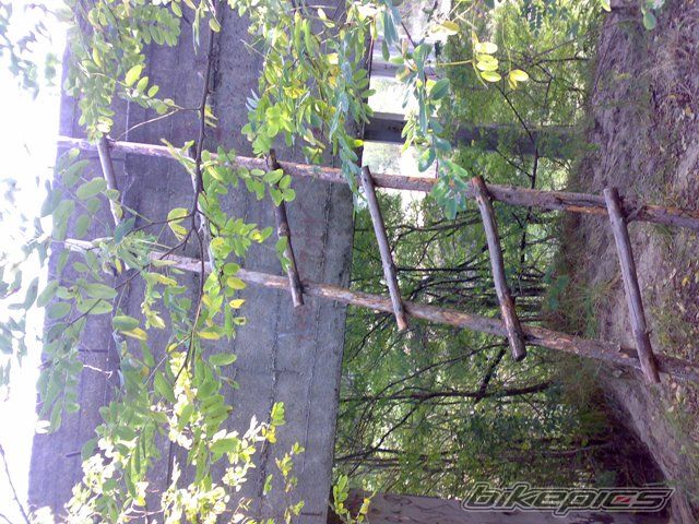 Photo 1439436