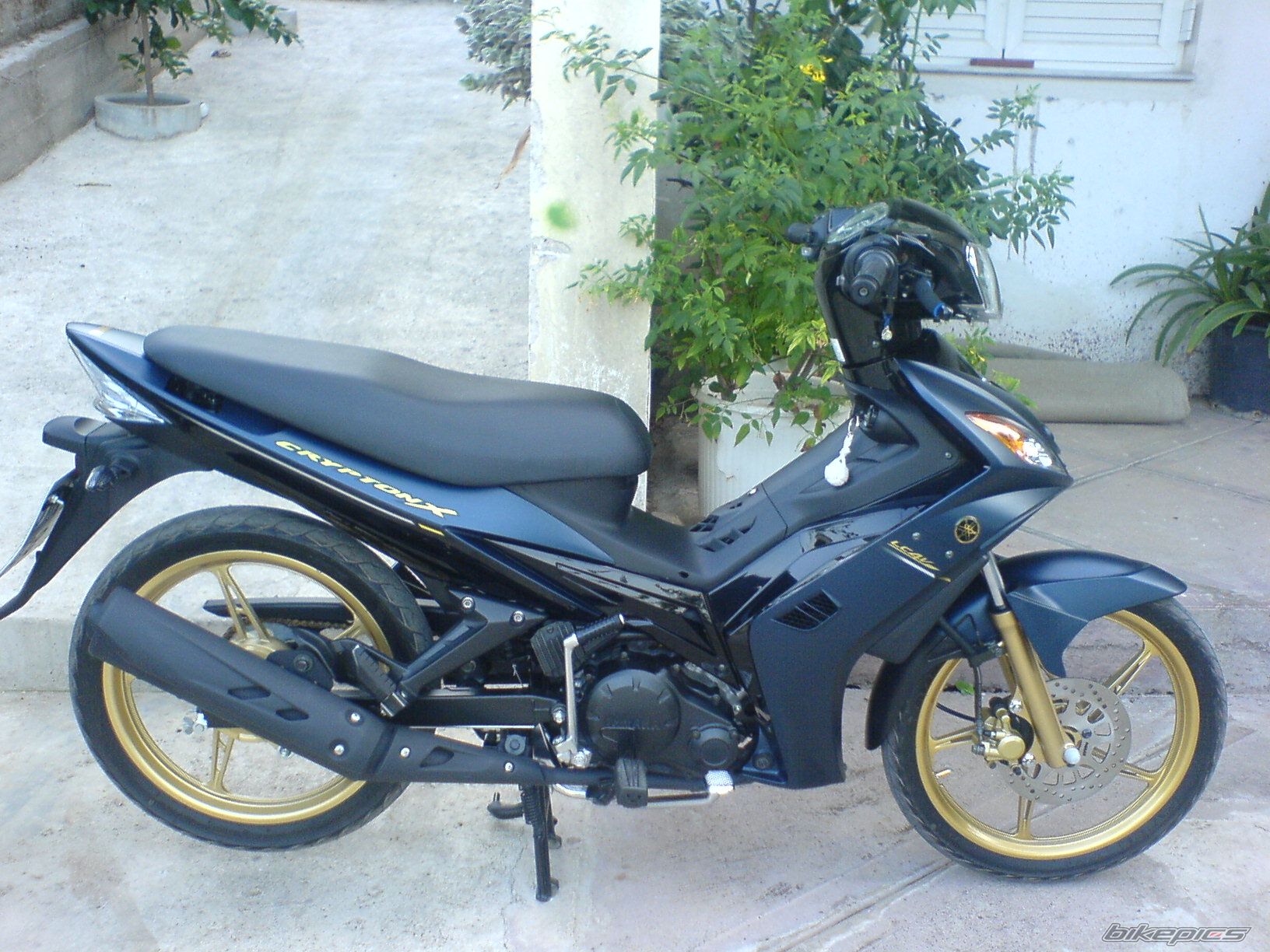 Photo 1439450