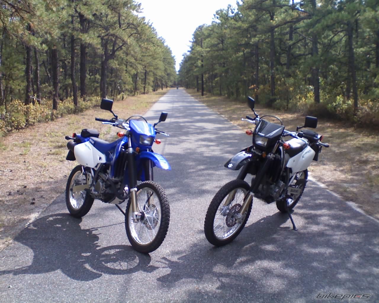 Bike Photo 1439464