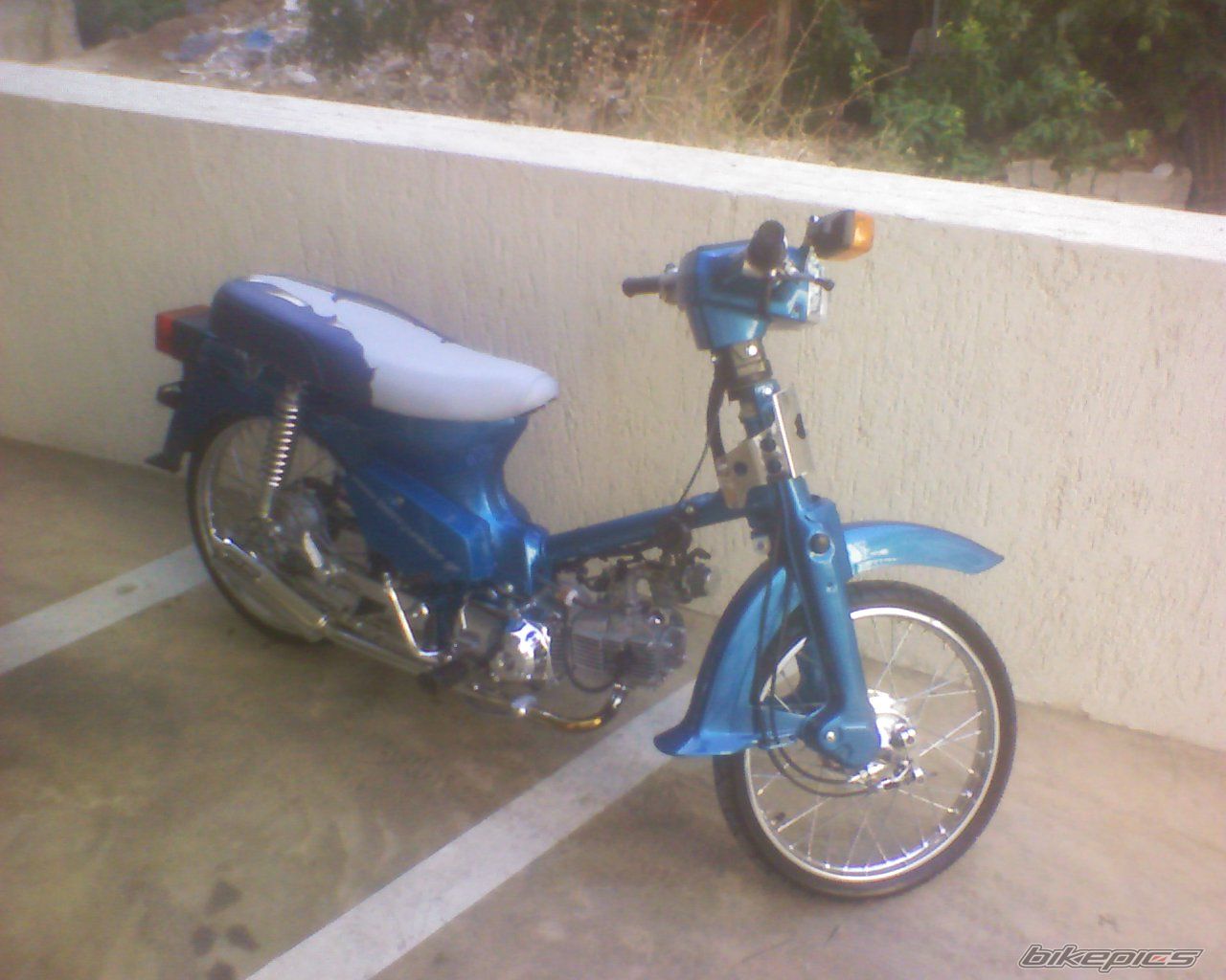 Photo 1439485