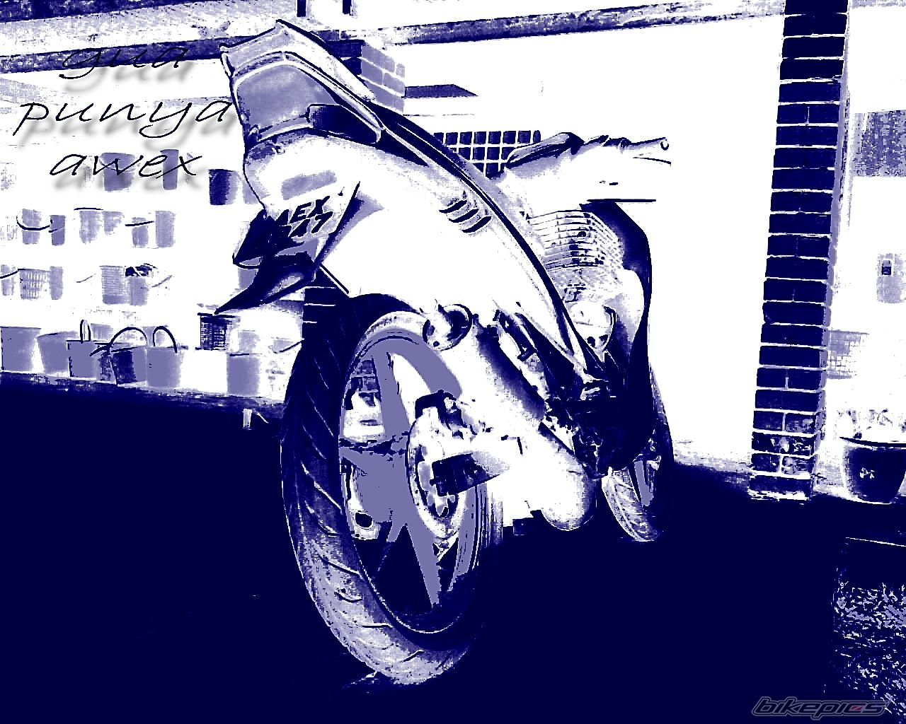 Photo 1439493