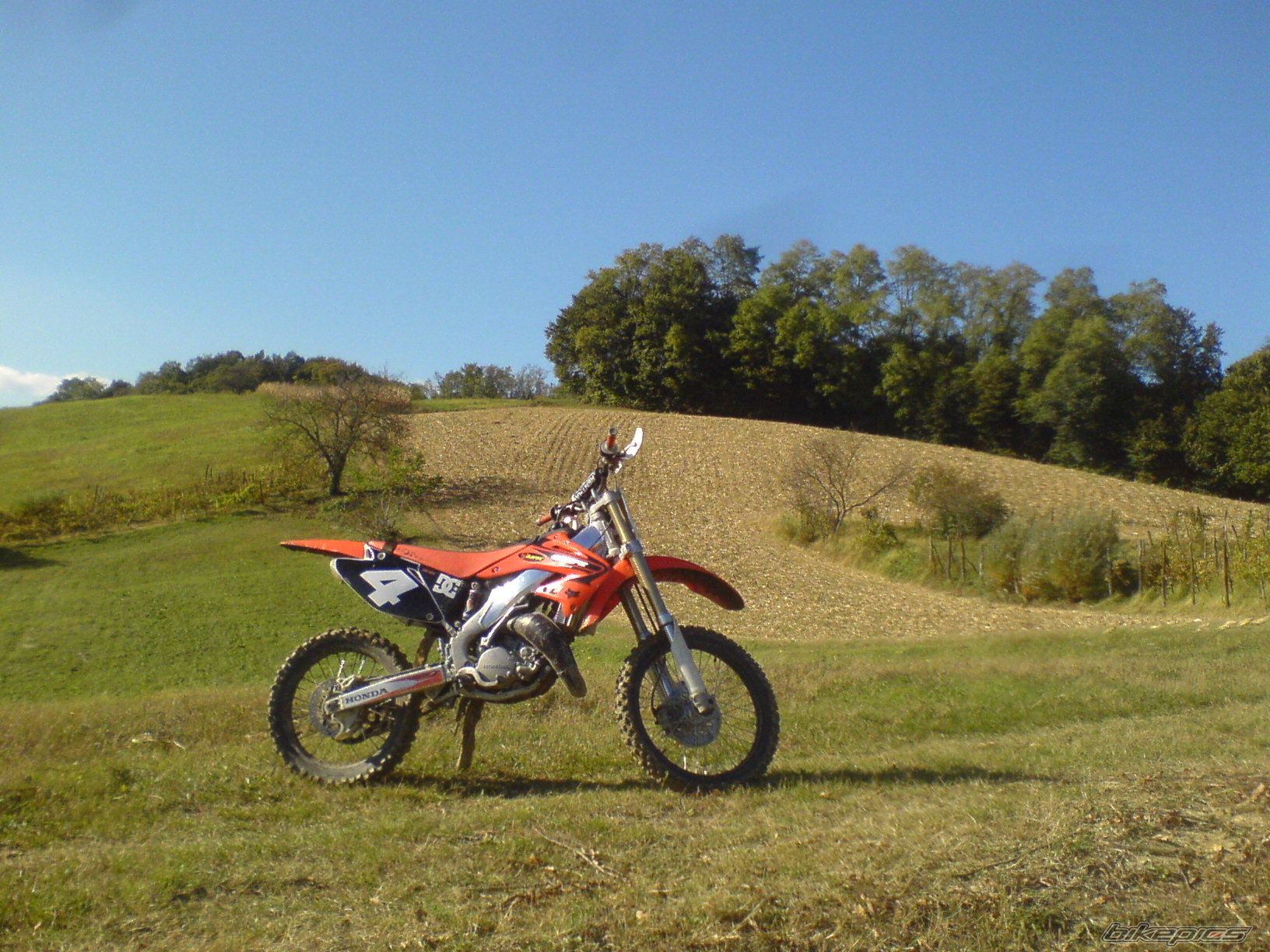 Photo 1439497