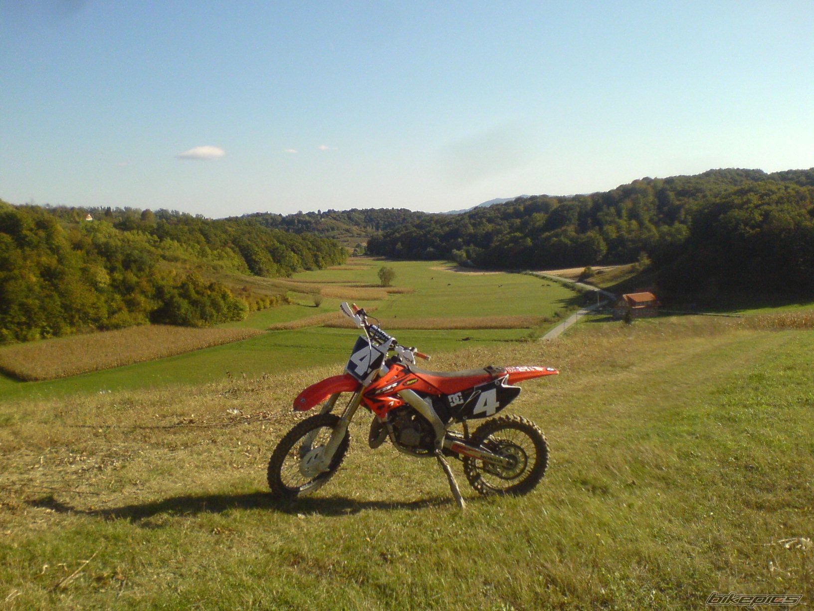 Photo 1439499