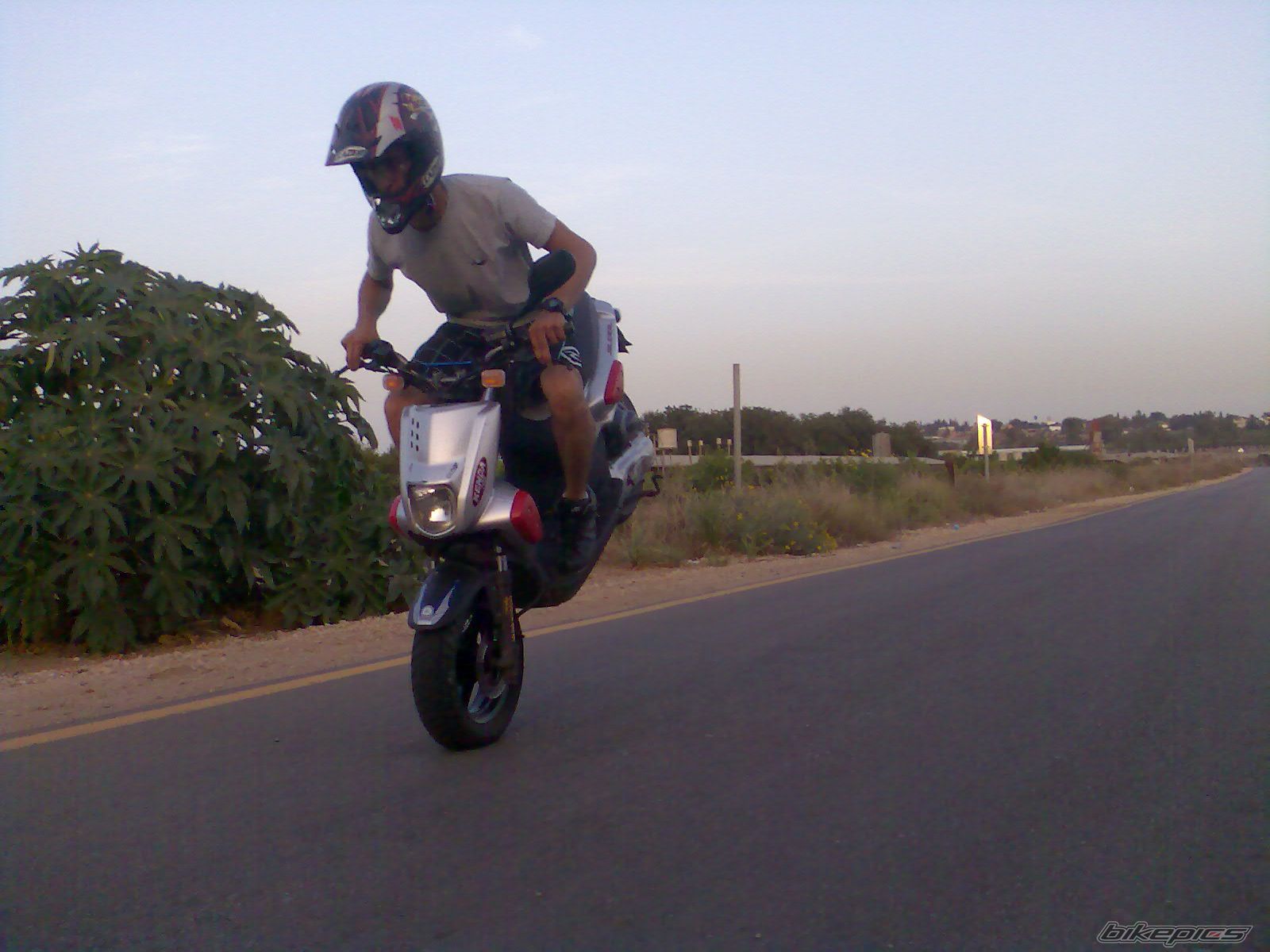 Photo 1439508