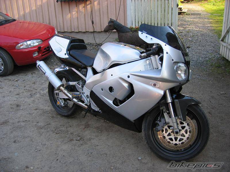 Photo 143952