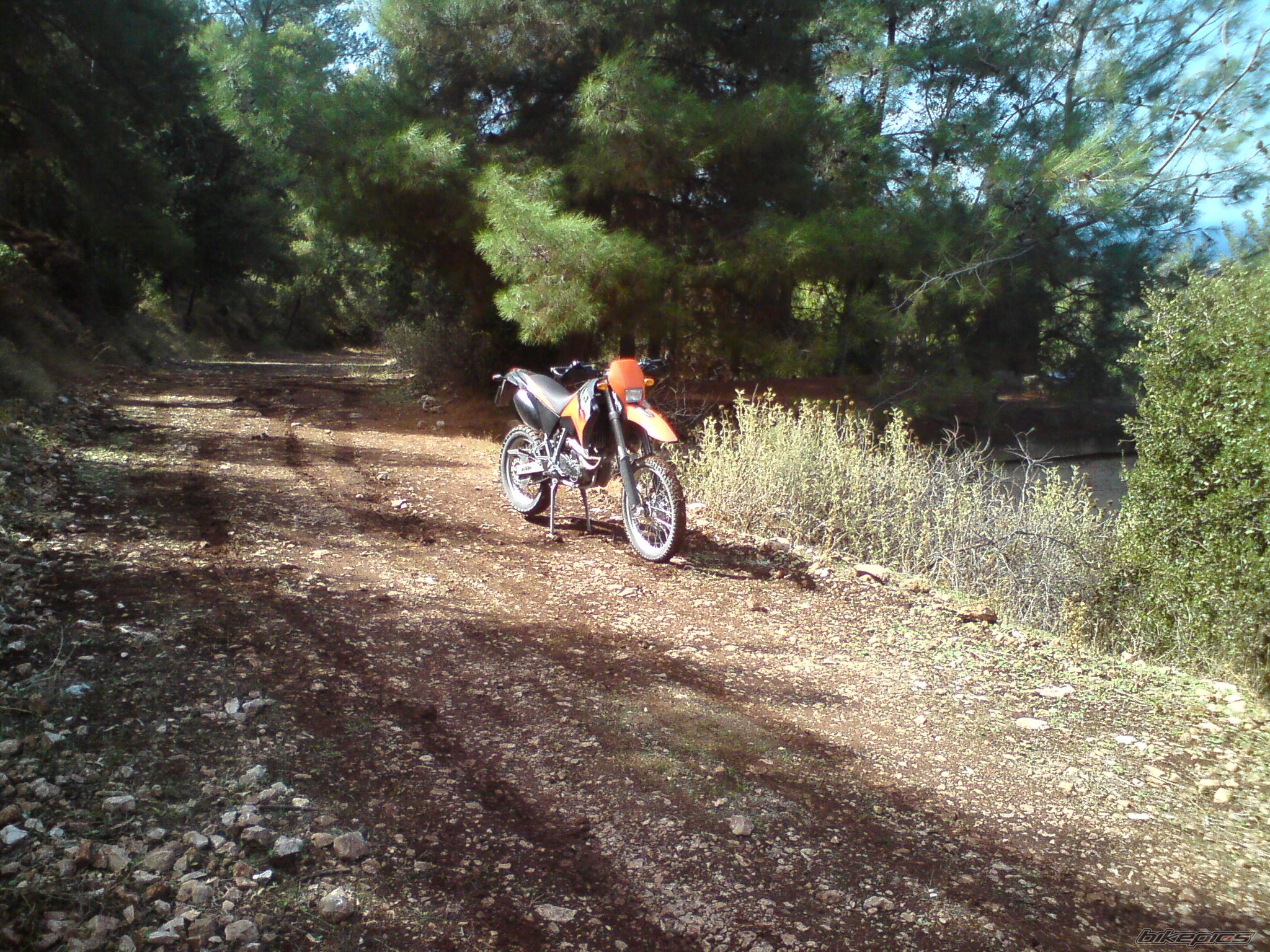 Photo 1439526