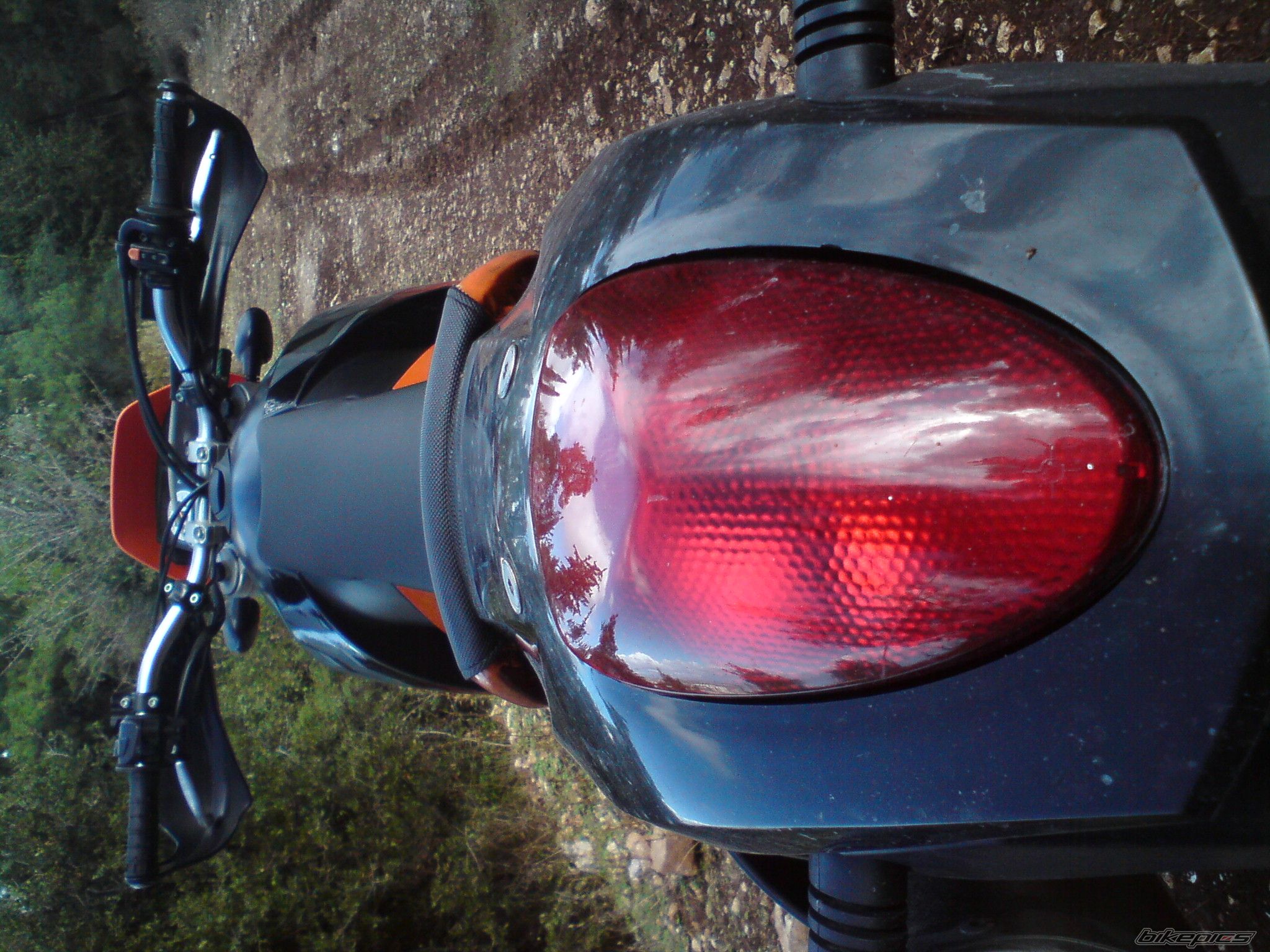Photo 1439529