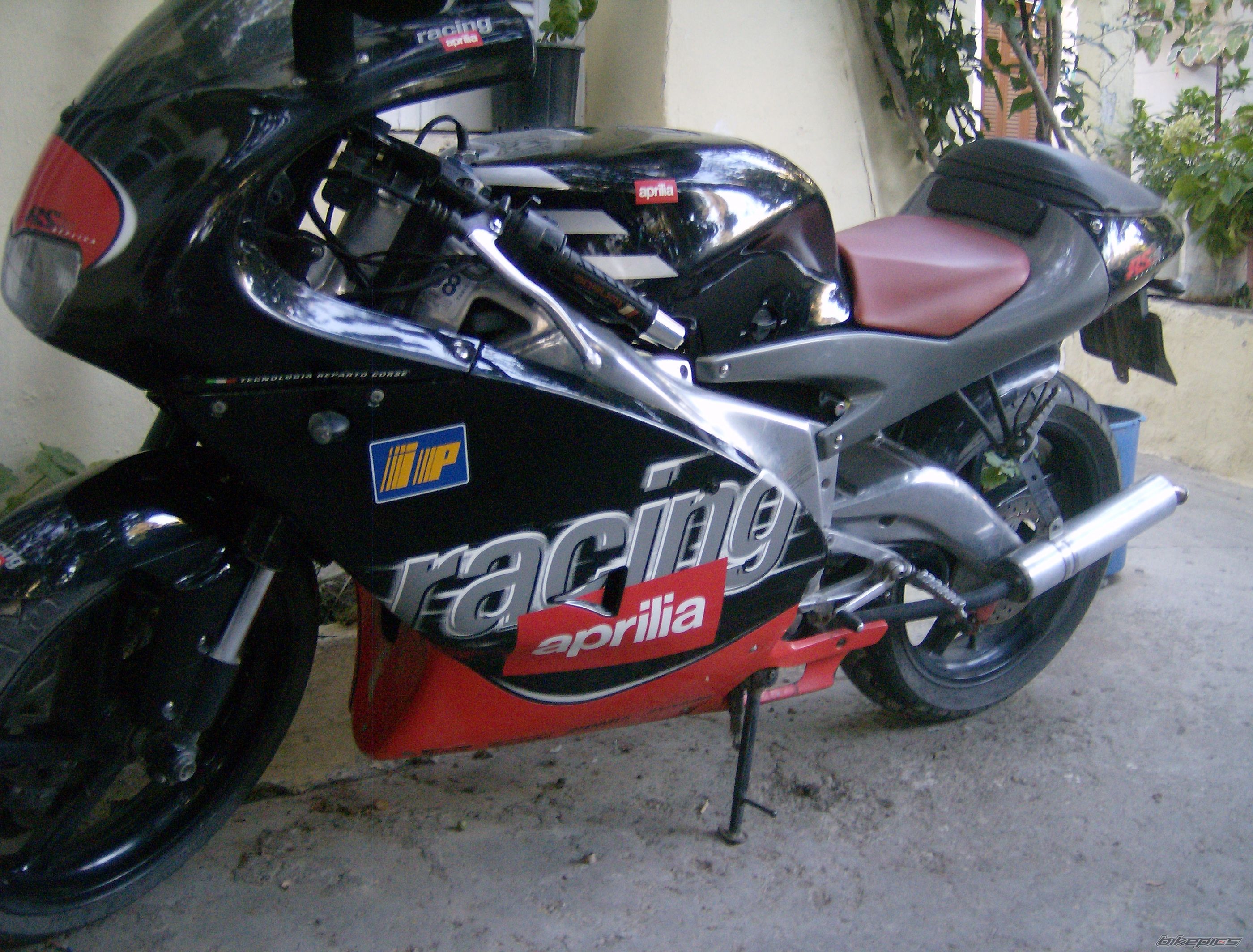 Photo 1439537