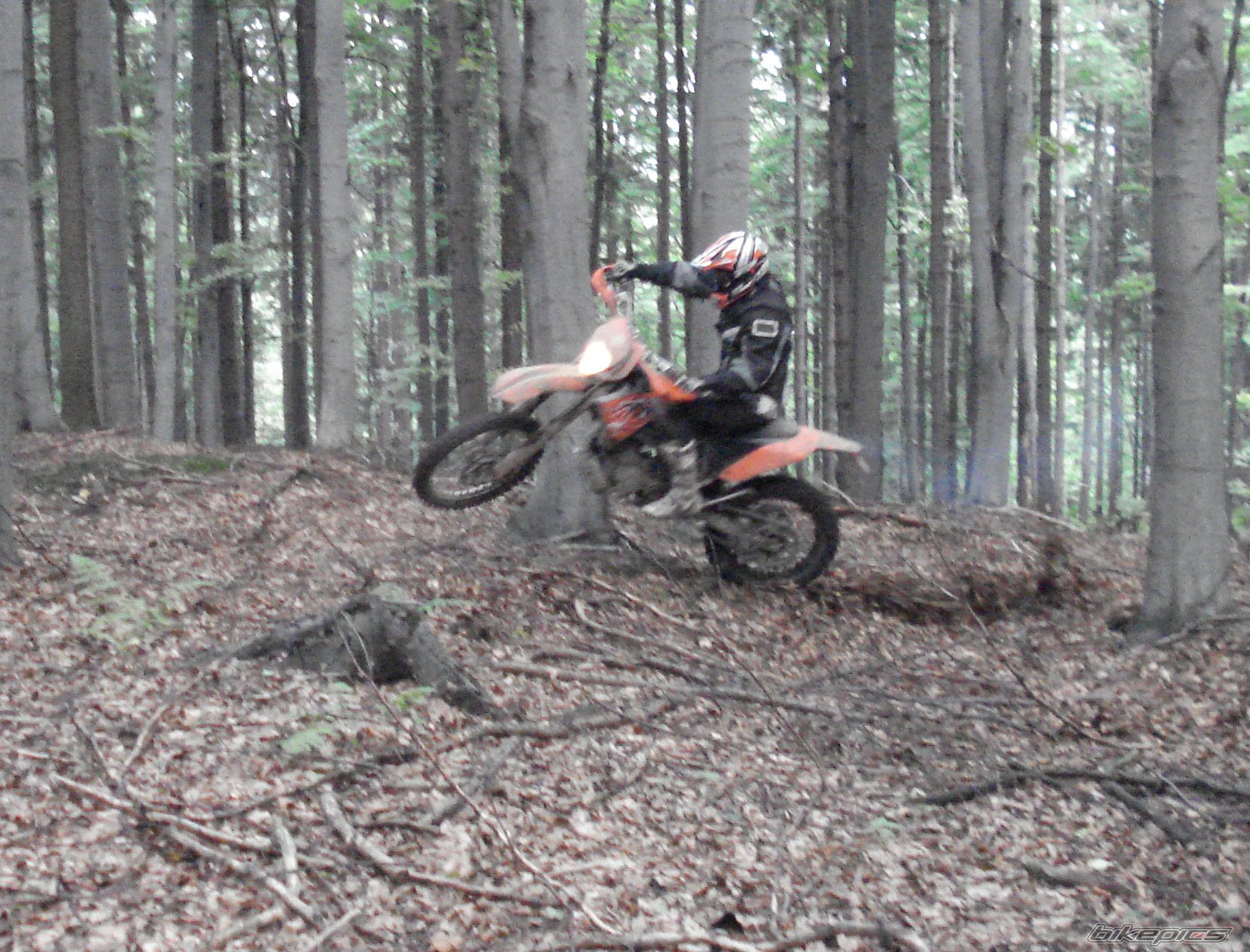 Bike Photo 1439584