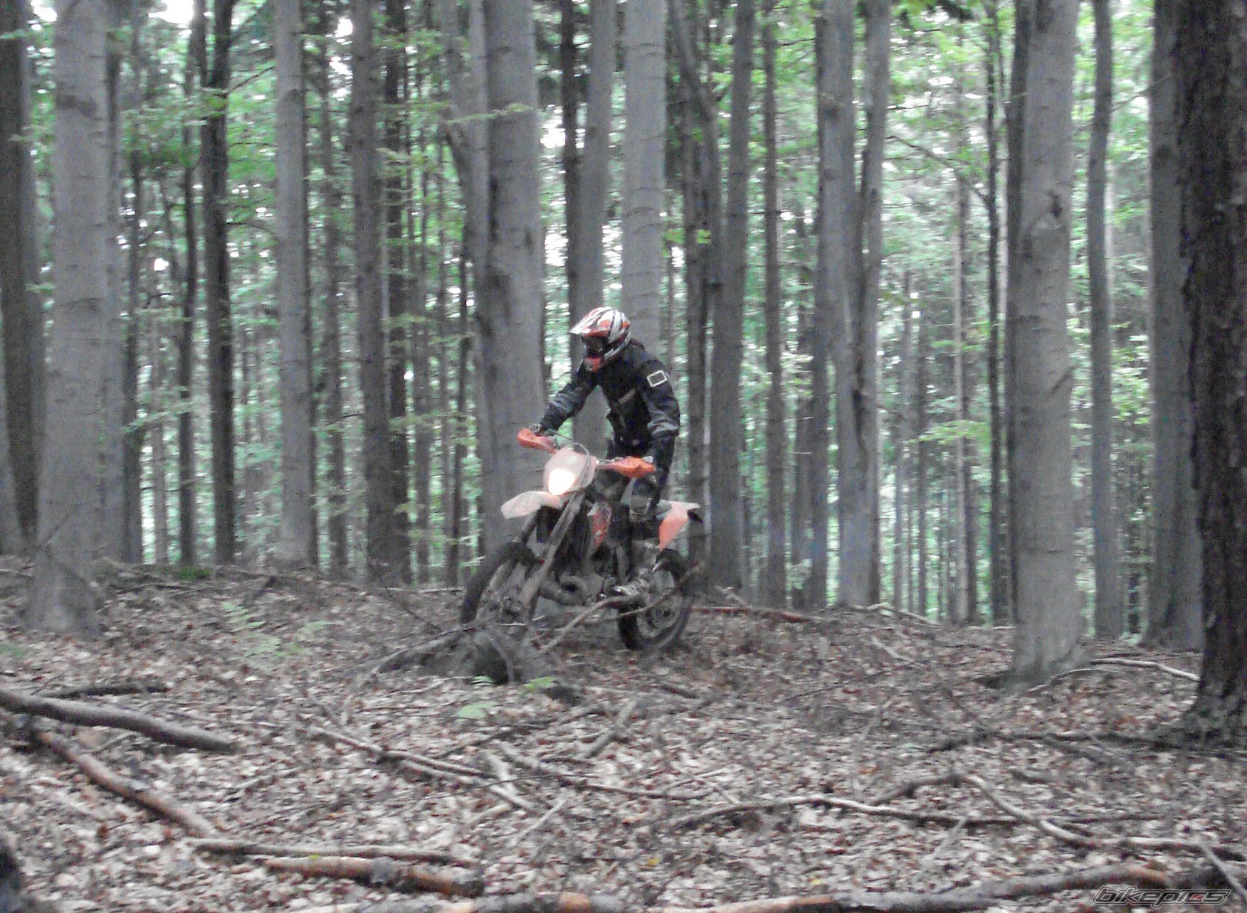 Bike Photo 1439590
