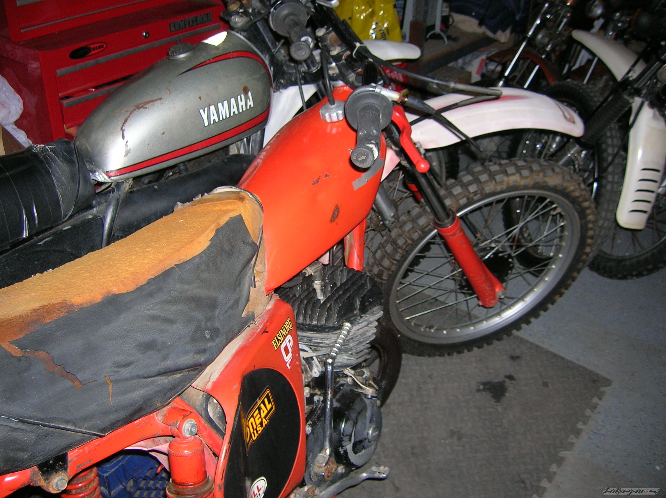 Bike Photo 1439630
