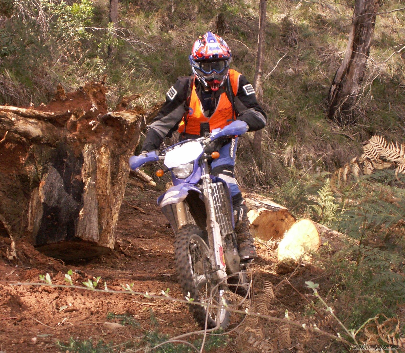 Bike Photo 1439668