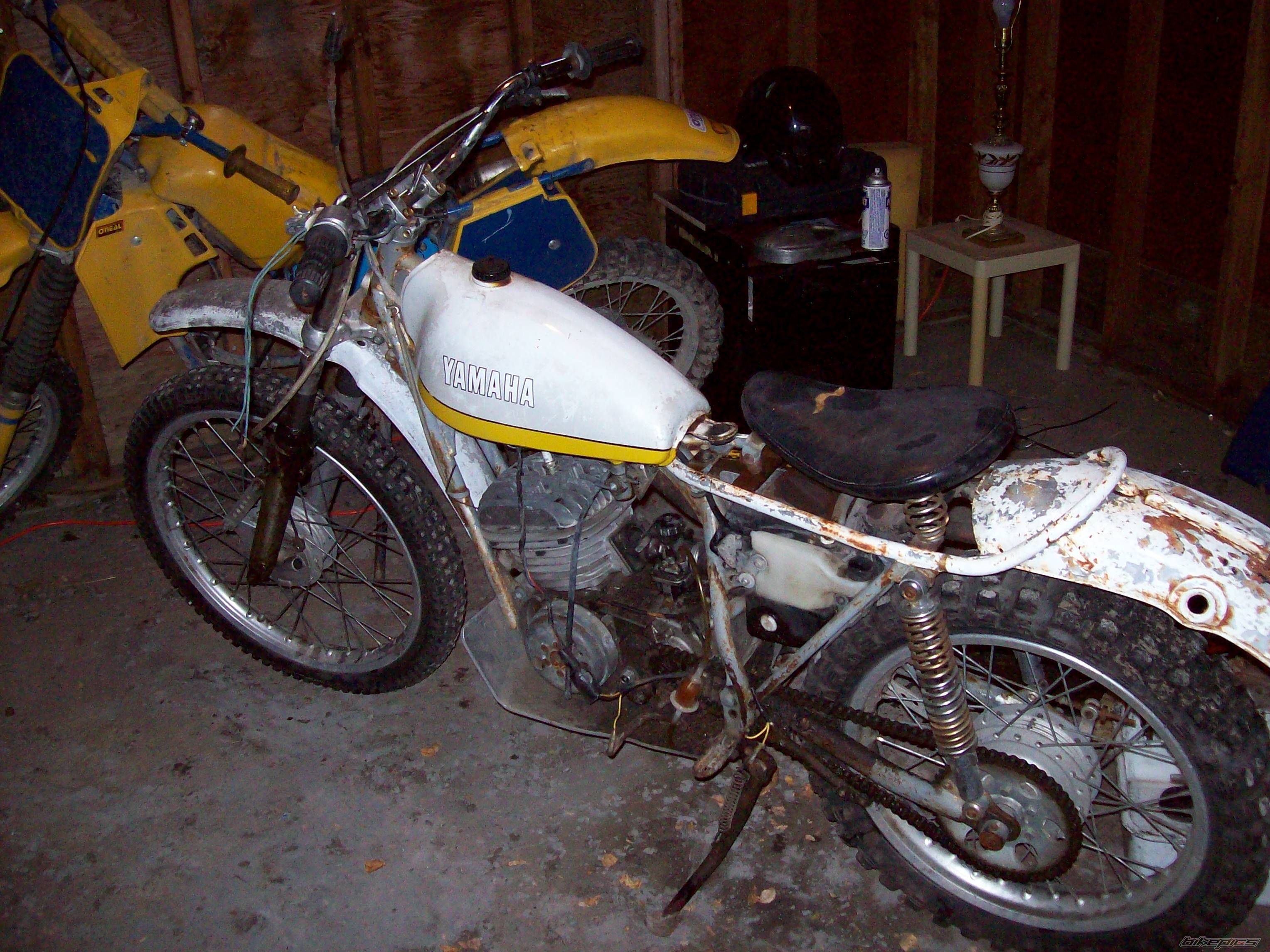 Photo 1439686