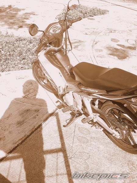 Photo 1439774