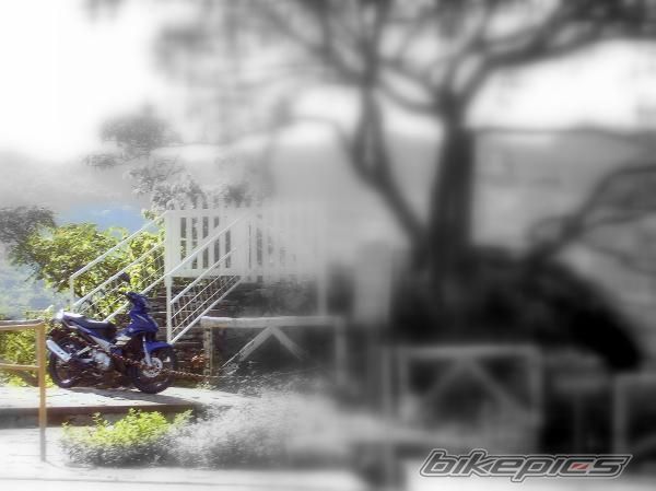 Photo 1439776