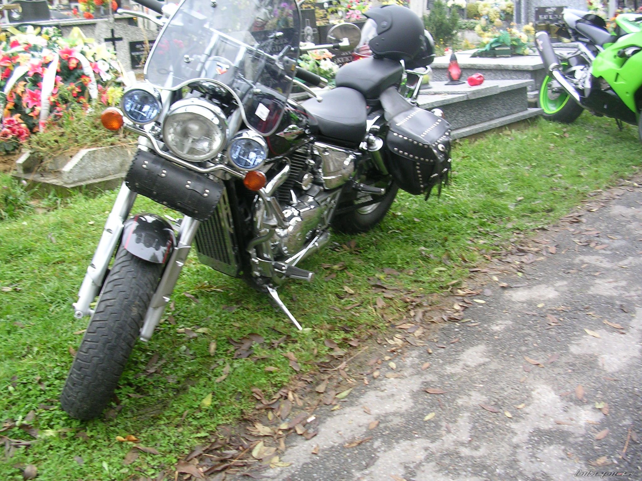 Photo 1439846