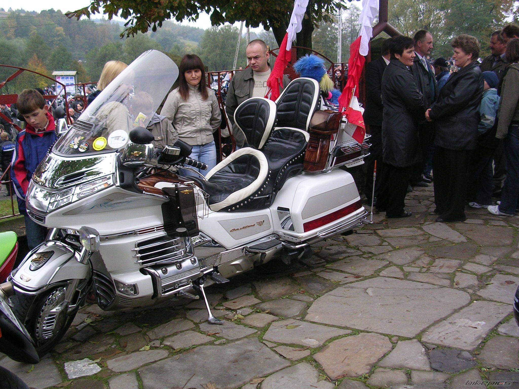 Photo 1439847