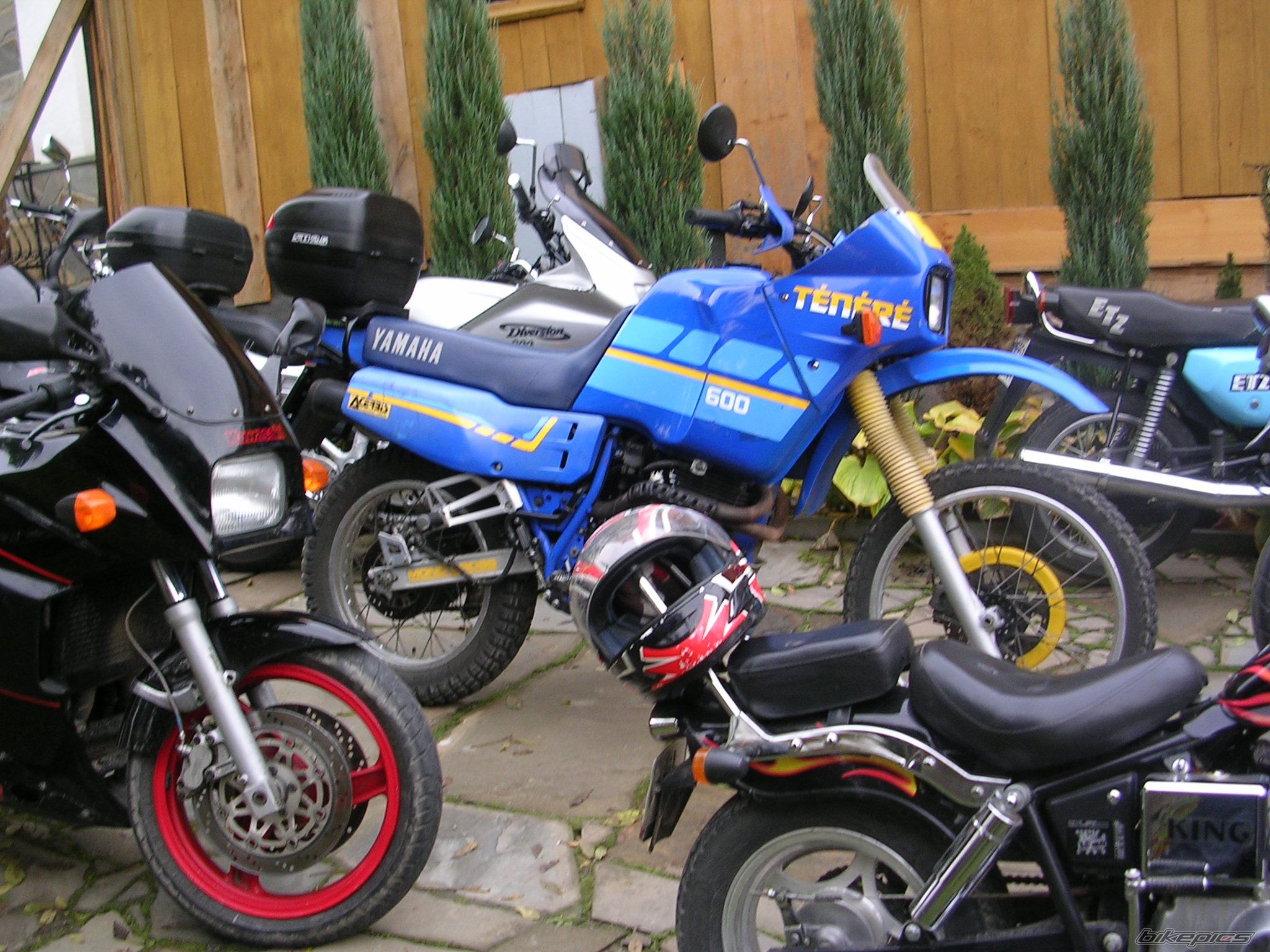 Photo 1439849