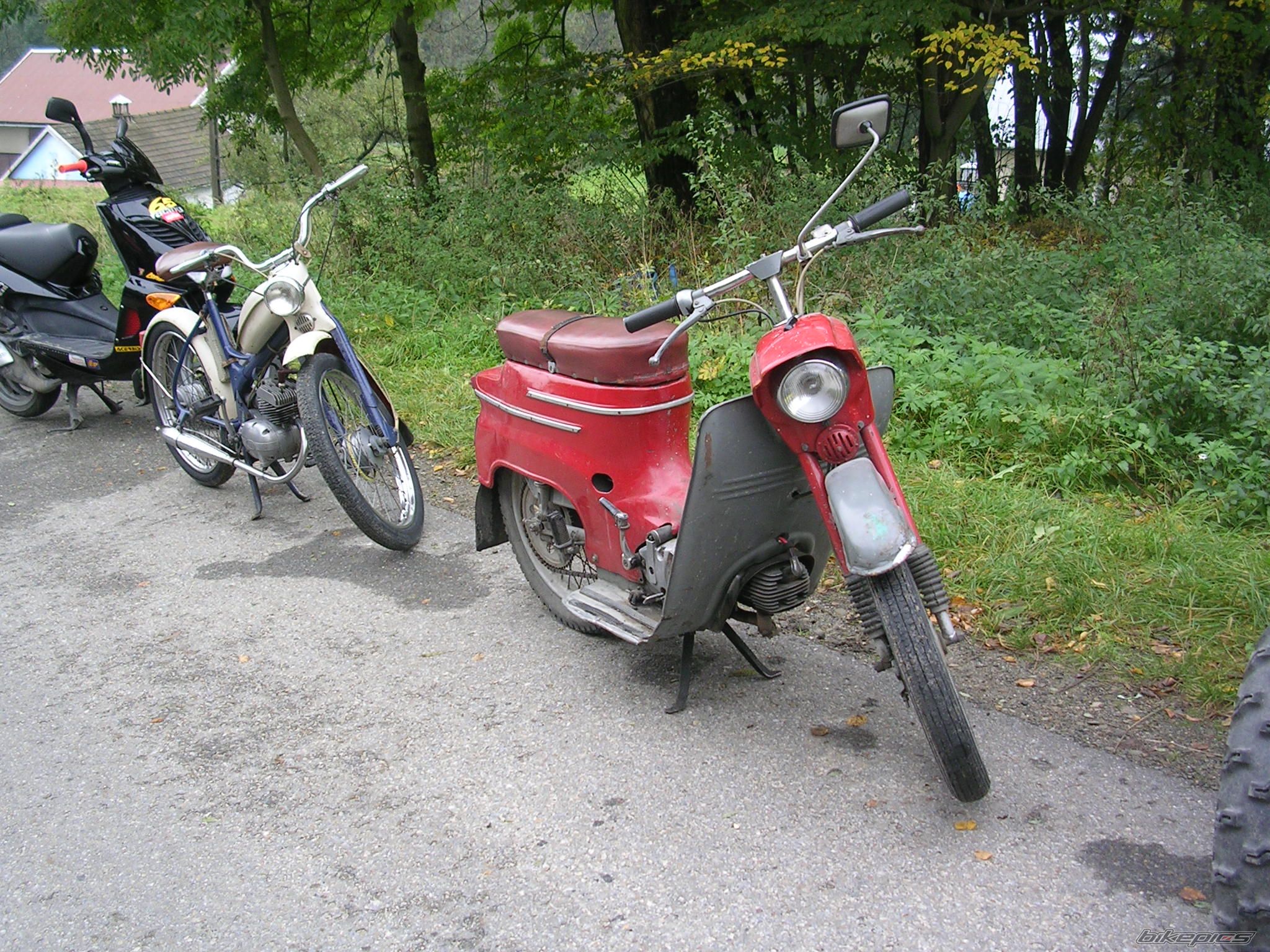 Photo 1439855