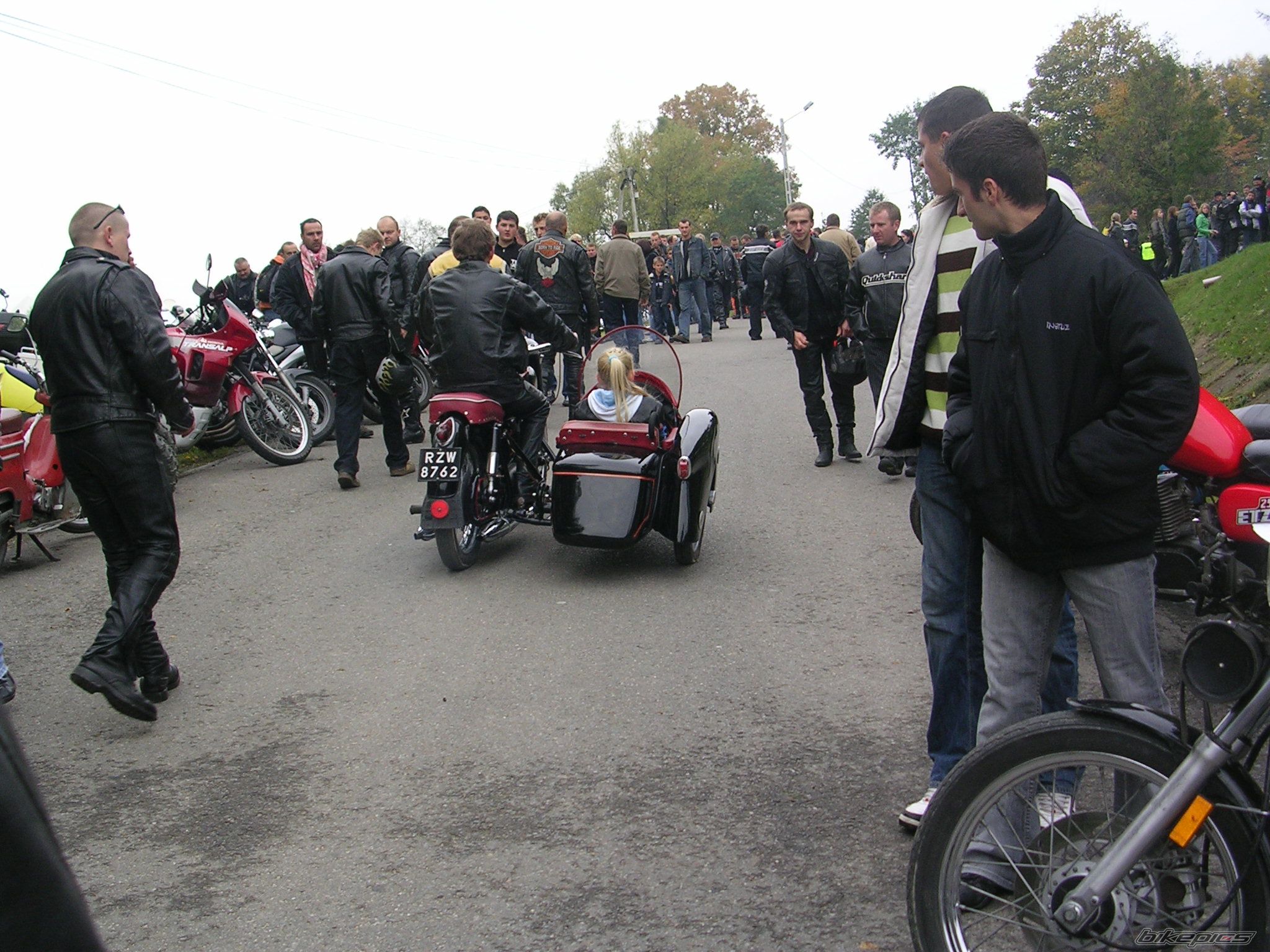 Photo 1439858