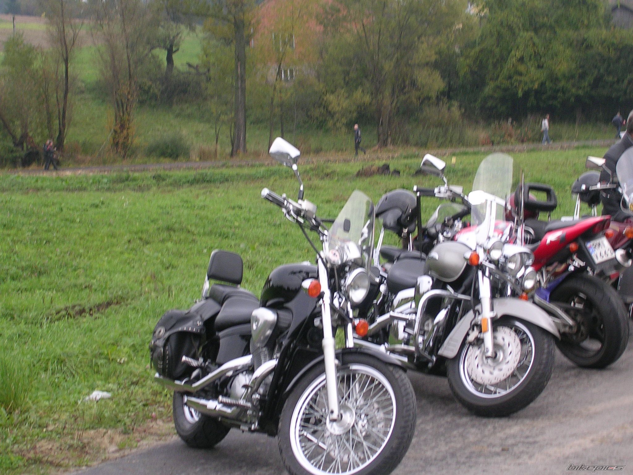 Photo 1439861